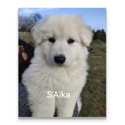 S'Aika